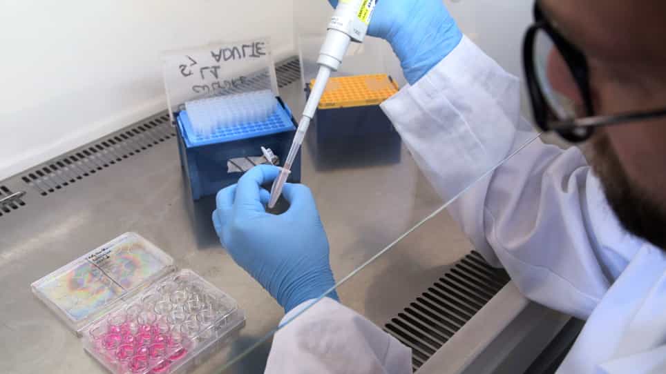 Modeling Charcot-Marie-Tooth Disease In Vitro by Transfecting Mouse Primary Motoneurons