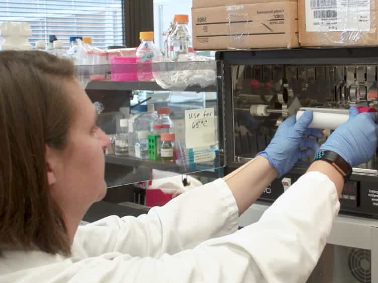 Studying Ribonucleotide Incorporation: Strand-specific Detection of Ribonucleotides in the Yeast Genome and Measuring Ribonucleotide-induced Mutagenesis