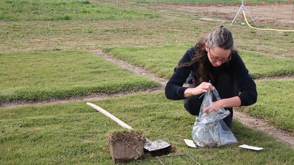 Measuring Stolons and Rhizomes of Turfgrasses Using a Digital Image Analysis System