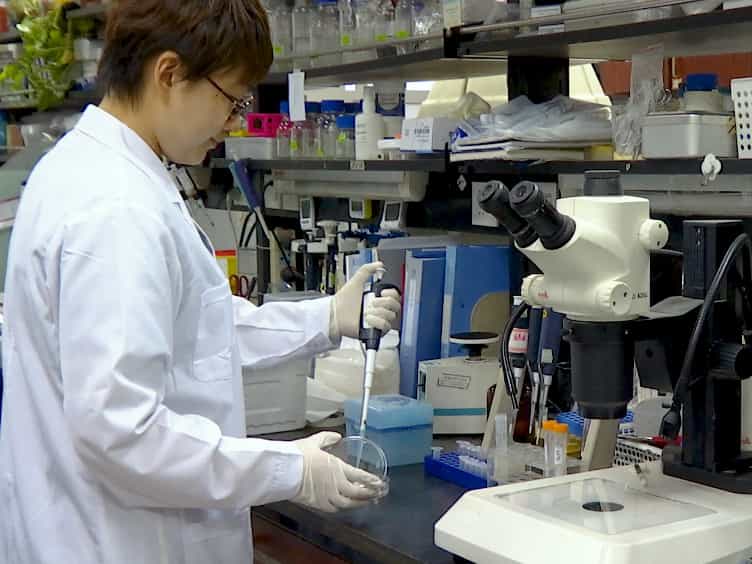Nanoparticle-mediated siRNA Gene-silencing in Adult Zebrafish Heart