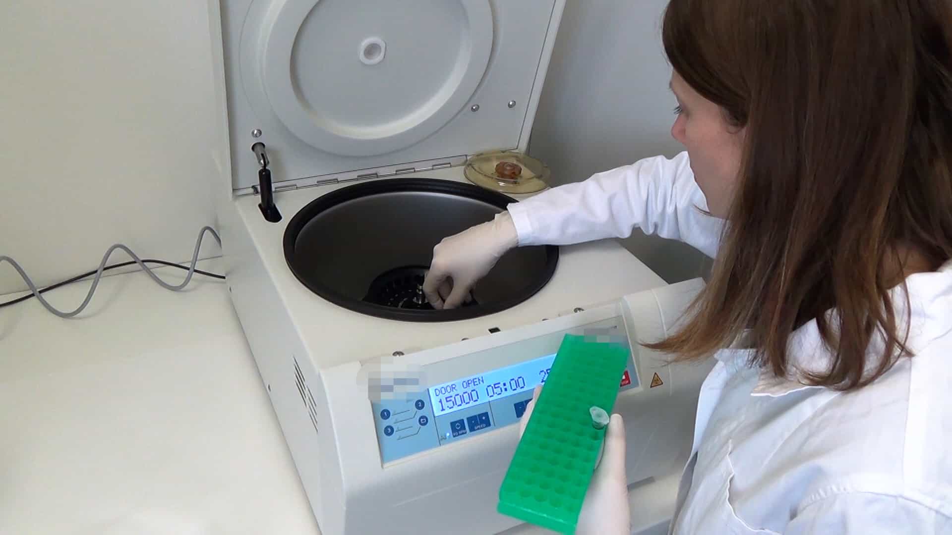 Spectrophotometric Determination of Phycobiliprotein Content in Cyanobacterium Synechocystis