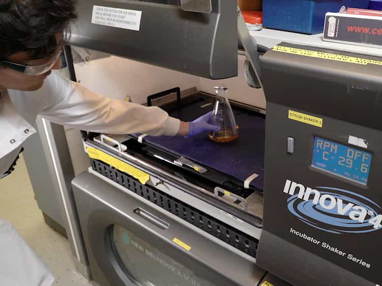 Calibration-free In Vitro Quantification of Protein Homo-oligomerization Using Commercial Instrumentation and Free, Open Source Brightness Analysis Software