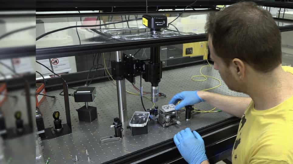 Design and Fabrication of an Optical Fiber Made of Water
