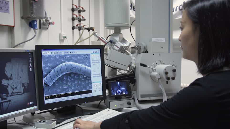 Stereolithographic 3D Printing with Renewable Acrylates