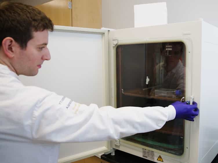 An In Vitro Approach to Photodynamic Therapy