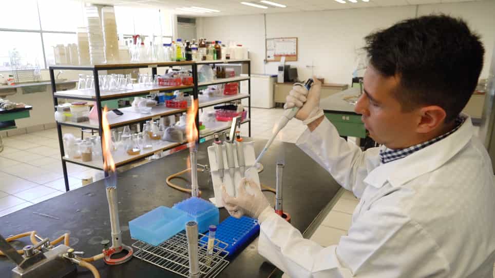 Saccharomyces cerevisiae Exponential Growth Kinetics in Batch Culture to Analyze Respiratory and Fermentative Metabolism
