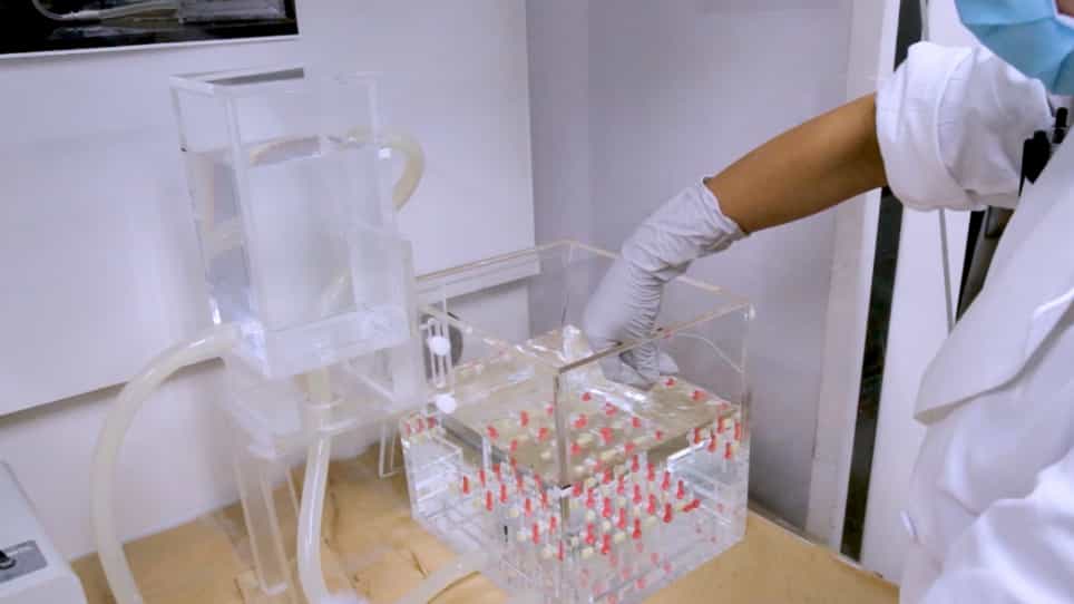 Lung Fixation under Constant Pressure for Evaluation of Emphysema in Mice