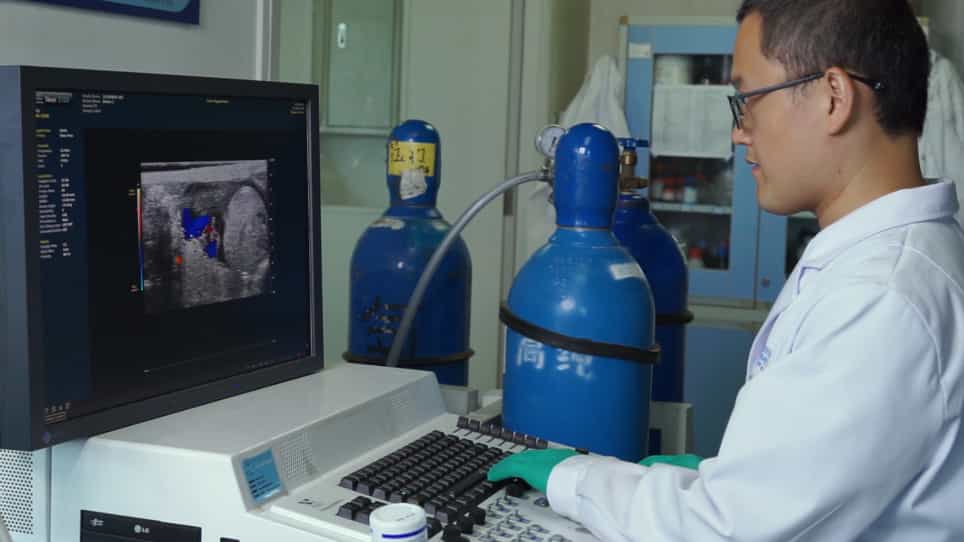 Comprehensive Evaluation of the Effectiveness and Safety of Placenta-Targeted Drug Delivery Using Three Complementary Methods