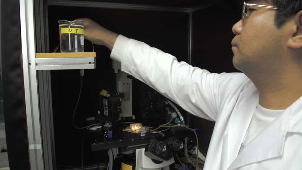 Measurement of Ion Concentration in the Unstirred Boundary Layer with Open Patch-Clamp Pipette: Implications in Control of Ion Channels by Fluid Flow