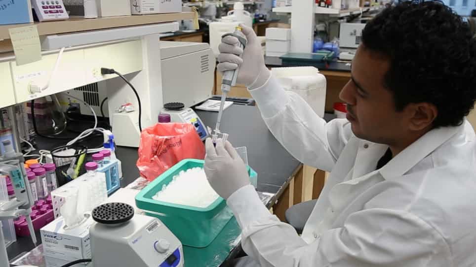 Isolation of Primary Mouse Hepatocytes for Nascent Protein Synthesis Analysis by Non-radioactive L-azidohomoalanine Labeling Method