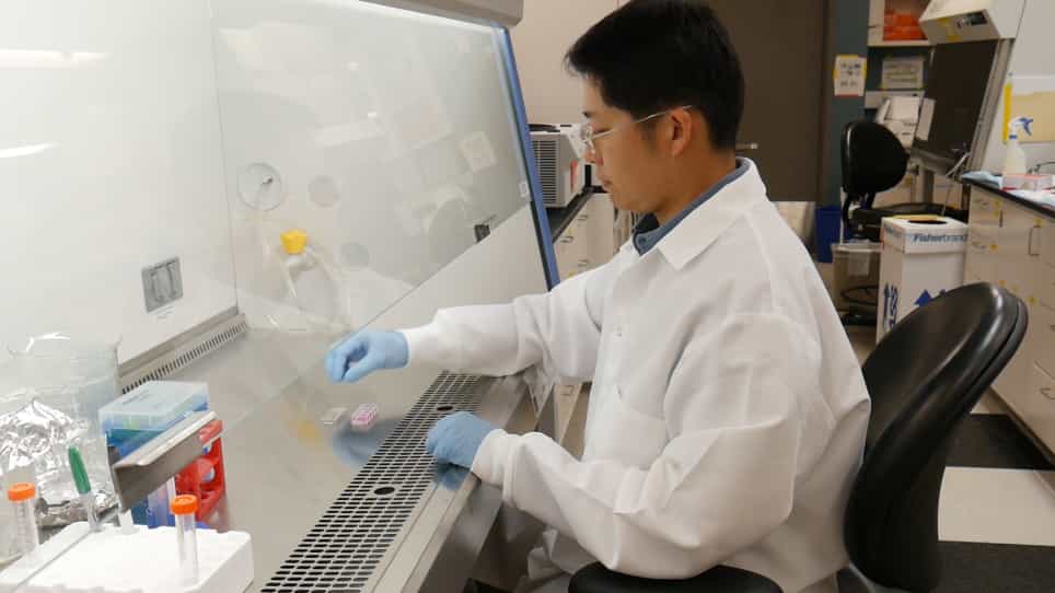 3-D Cell Culture System for Studying Invasion and Evaluating Therapeutics in Bladder Cancer