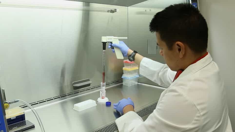 High-throughput Measurement of Plasma Membrane Resealing Efficiency in Mammalian Cells