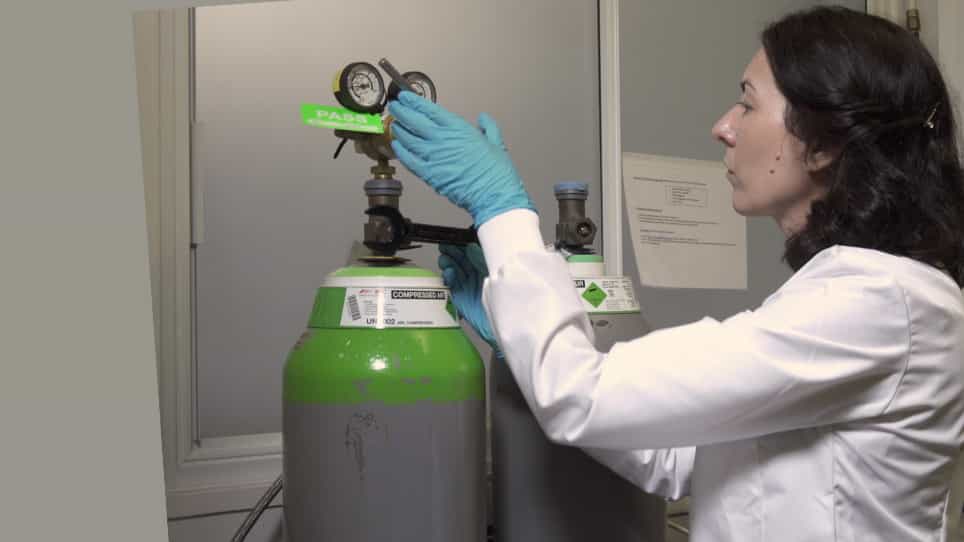 A Novel In Vitro Model of Blast Traumatic Brain Injury