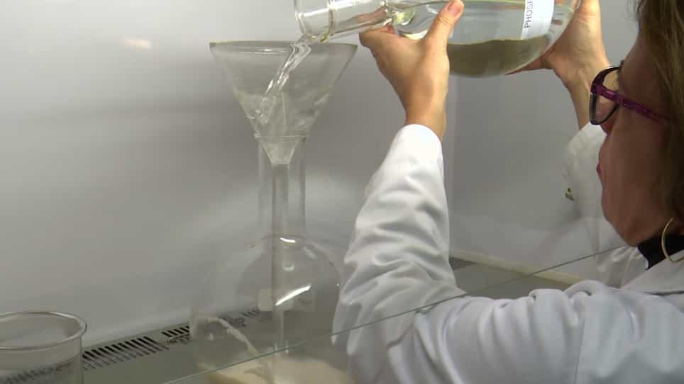 Purification of Extracellular Trypanosomes, Including African, from Blood by Anion-Exchangers (Diethylaminoethyl-cellulose Columns)