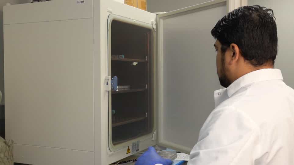 Inducible and Reversible Dominant-negative DN Protein Inhibition