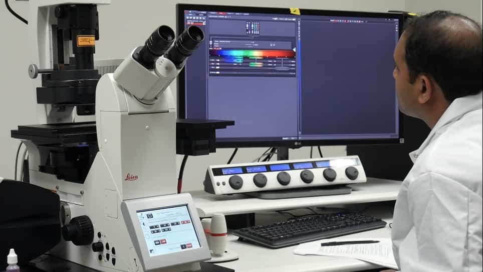 Temporal Analysis of the Nuclear-to-cytoplasmic Translocation of a Herpes Simplex Virus 1 Protein by Immunofluorescent Confocal Microscopy