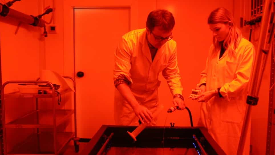 Long-term Video Tracking of Cohoused Aquatic Animals: A Case Study of the Daily Locomotor Activity of the Norway Lobster Nephrops norvegicus