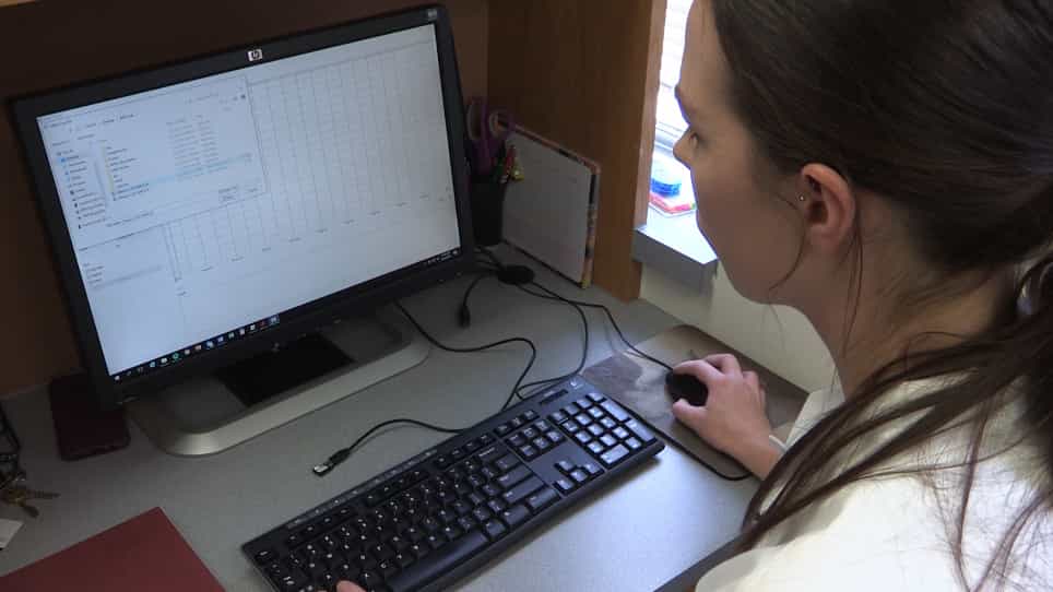 Transdermal Measurement of Glomerular Filtration Rate in Mice
