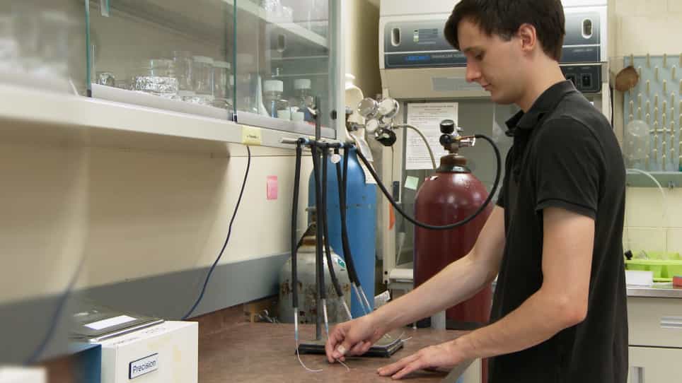 Growing Magnetotactic Bacteria of the Genus Magnetospirillum: Strains MSR-1, AMB-1 and MS-1