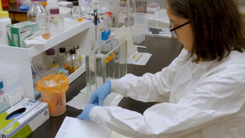 A Purification and In Vitro Activity Assay for a pppGpp Synthetase from Clostridium difficile