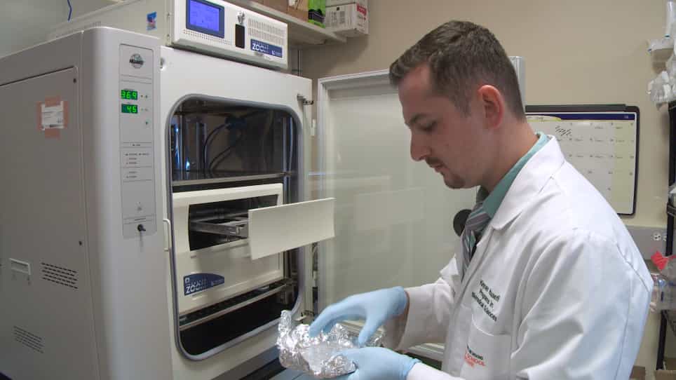 LDL Cholesterol Uptake Assay Using Live Cell Imaging Analysis with Cell Health Monitoring