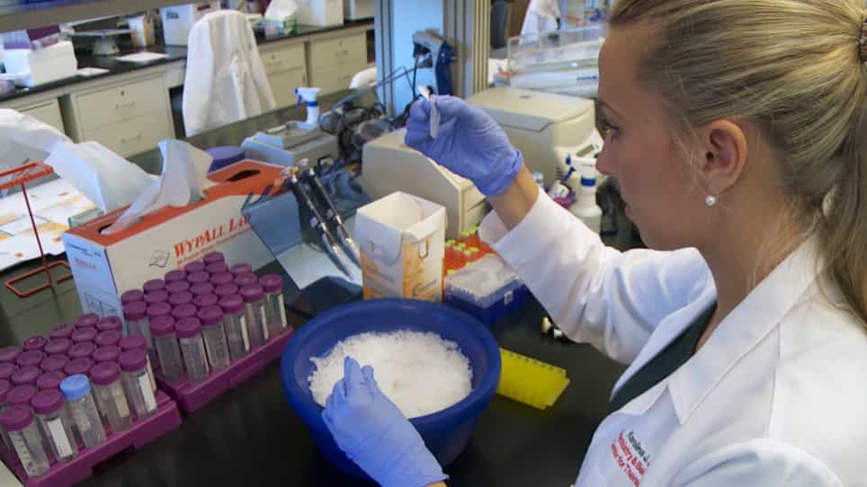 Purification of H3 and H4 Histone Proteins and the Quantification of Acetylated Histone Marks in Cells and Brain Tissue