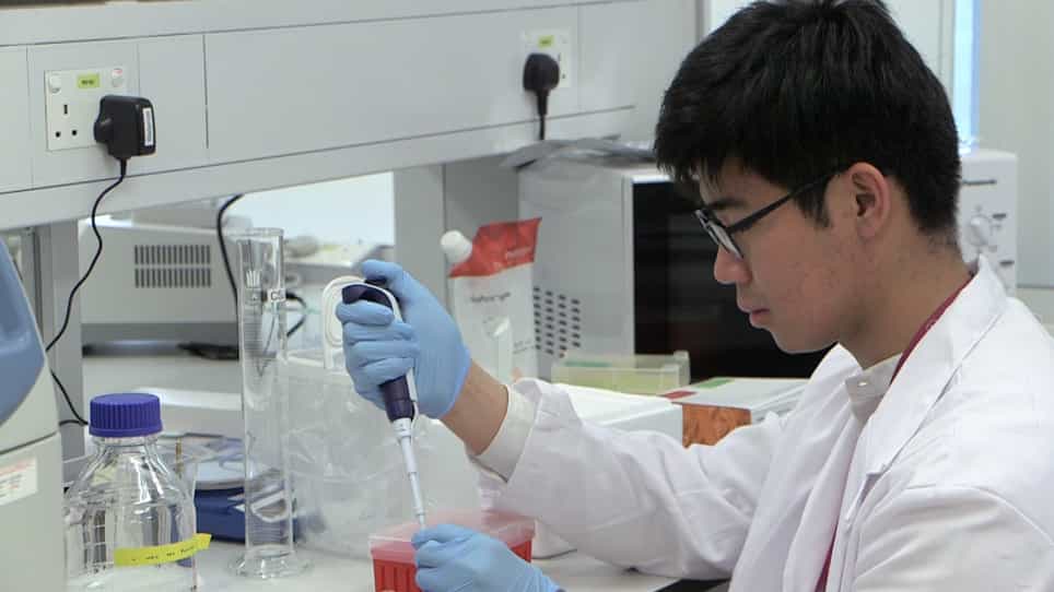 Fluorescent Silver Staining of Proteins in Polyacrylamide Gels