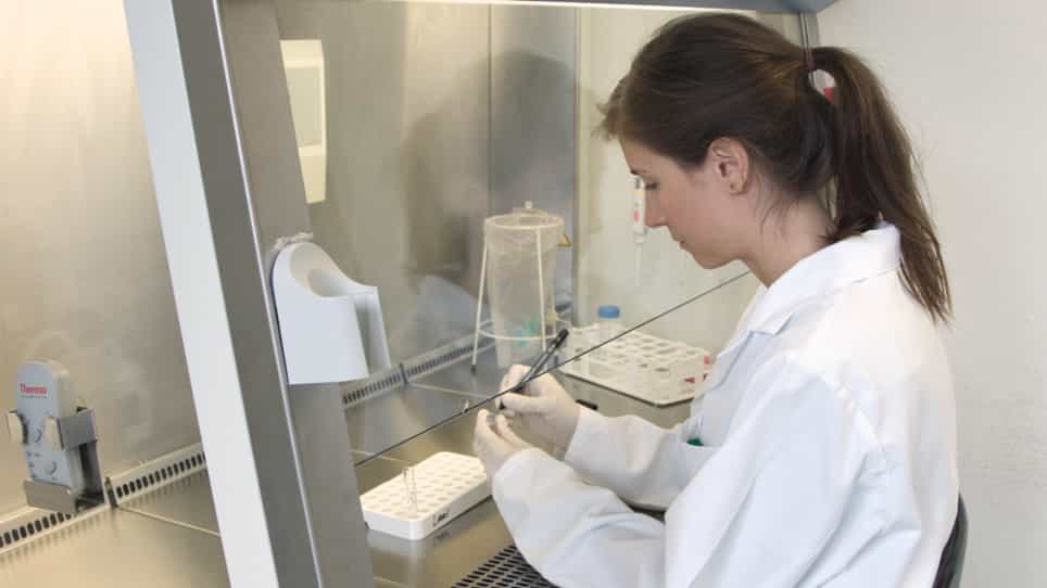 Simultaneous Quantification of Anti-vector and Anti-transgene-Specific CD8+ T Cells Via MHC I Tetramer Staining After Vaccination with a Viral Vector