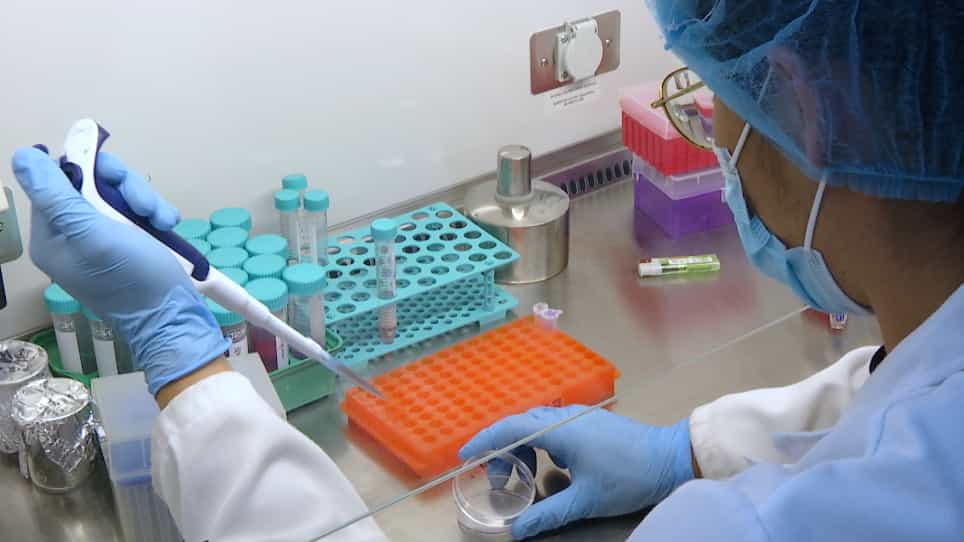 Establishing Cell Lines Overexpressing DR3 to Assess the Apoptotic Response to Anti-mitotic Therapeutics