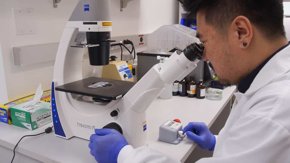 Investigation of Genetic Dependencies Using CRISPR-Cas9-based Competition Assays