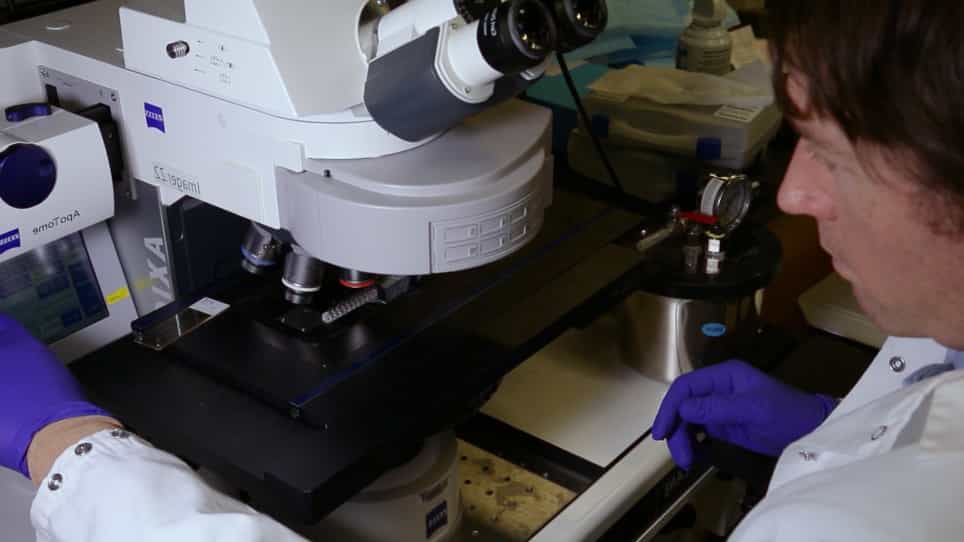 In Vivo Targeted Expression of Optogenetic Proteins Using Silk/AAV Films