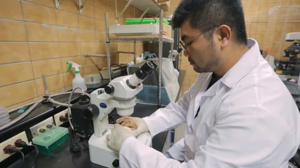 Evaluating Virulence and Pathogenesis of Aeromonas Infection in a Caenorhabditis elegans Model