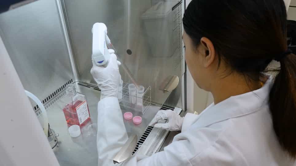 Isolation and Characterization of Human Umbilical Cord-derived Mesenchymal Stem Cells from Preterm and Term Infants