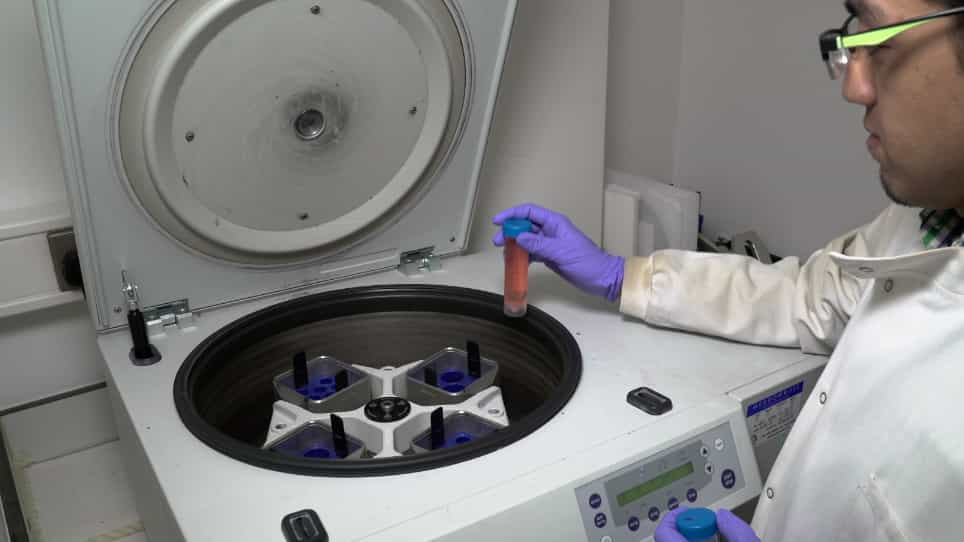 Preparation of Exosomes for siRNA Delivery to Cancer Cells