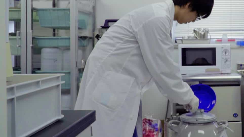 Assays for the Specific Growth Rate and Cell-binding Ability of Rotavirus