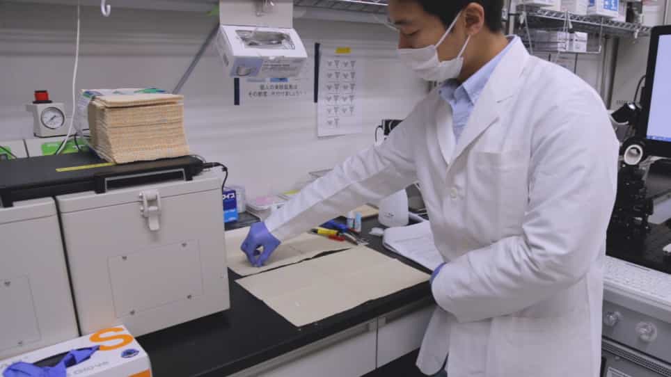 Inducement and Evaluation of a Murine Model of Experimental Myopia