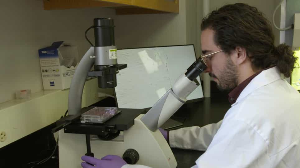In Vitro Scratch Assay to Demonstrate Effects of Arsenic on Skin Cell Migration