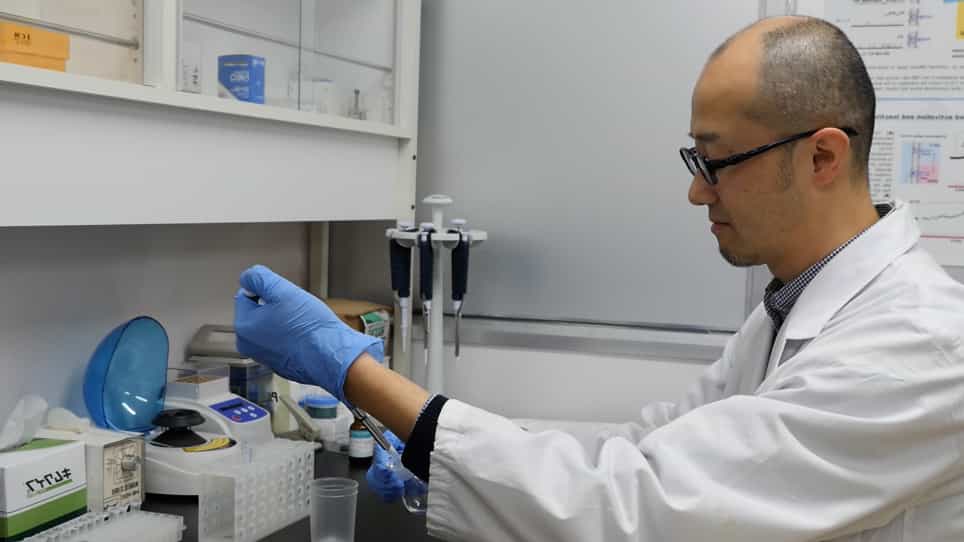 Lipid Bilayer Experiments with Contact Bubble Bilayers for Patch-Clampers