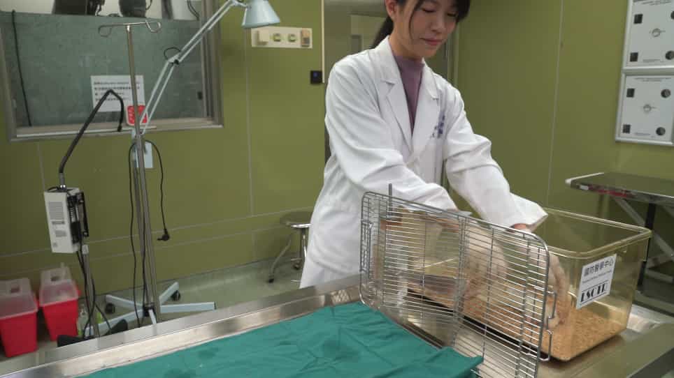 Wet-spinning-based Molding Process of Gelatin for Tissue Regeneration