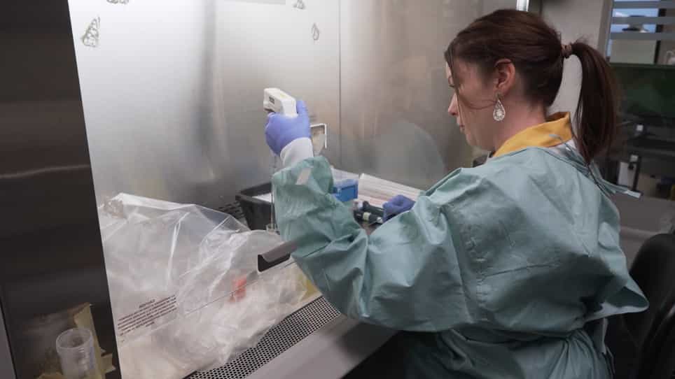 Production, Purification, and Quality Control for Adeno-associated Virus-based Vectors