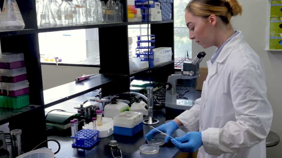 Quantitative Examination of Antibiotic Susceptibility of Neisseria gonorrhoeae Aggregates Using ATP-utilization Commercial Assays and Live/Dead Staining