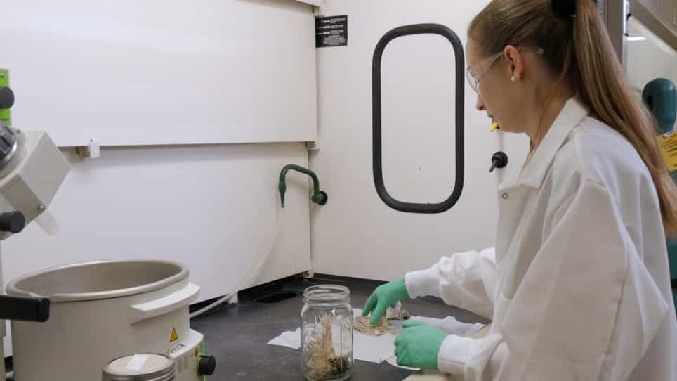 Chemical Isolation, Quantification, and Separation of Skin Lipids from Reptiles