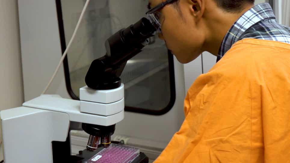 An Improved and High Throughput Respiratory Syncytial Virus RSV Micro-neutralization Assay