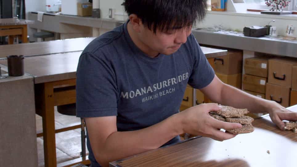 Evaluation of the Productivity of Social Wasp Colonies (Vespinae) and an Introduction to the Traditional Japanese Vespula Wasp Hunting Technique