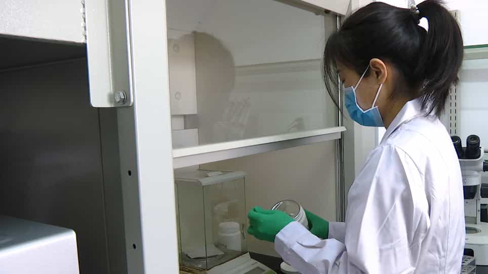 A High-throughput Assay for the Prediction of Chemical Toxicity by Automated Phenotypic Profiling of Caenorhabditis elegans