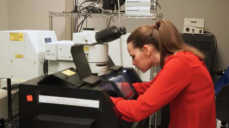 Confocal Imaging of Double-Stranded RNA and Pattern Recognition Receptors in Negative-Sense RNA Virus Infection