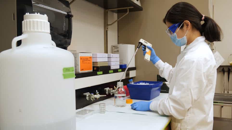 Tissue Preparation and Immunostaining of Mouse Craniofacial Tissues and Undecalcified Bone