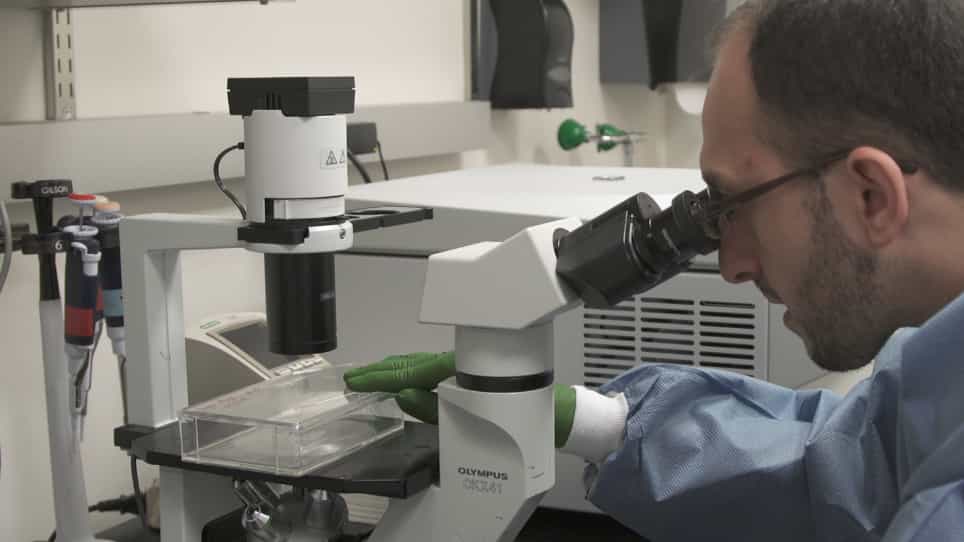 Intramucosal Inoculation of Squamous Cell Carcinoma Cells in Mice for Tumor Immune Profiling and Treatment Response Assessment