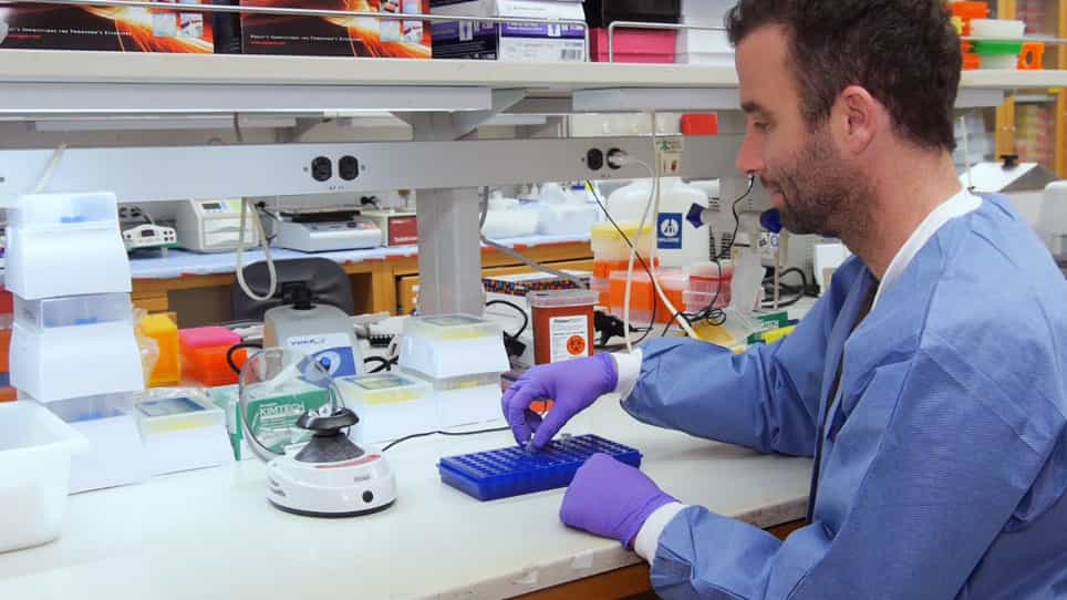 Overexpressing Long Noncoding RNAs Using Gene-activating CRISPR