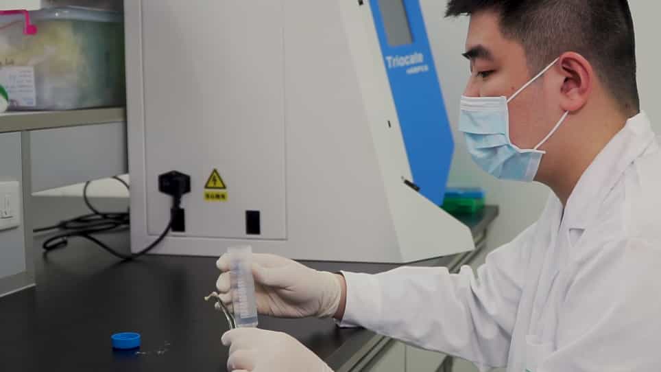 Three-Dimensional Bone Extracellular Matrix Model for Osteosarcoma